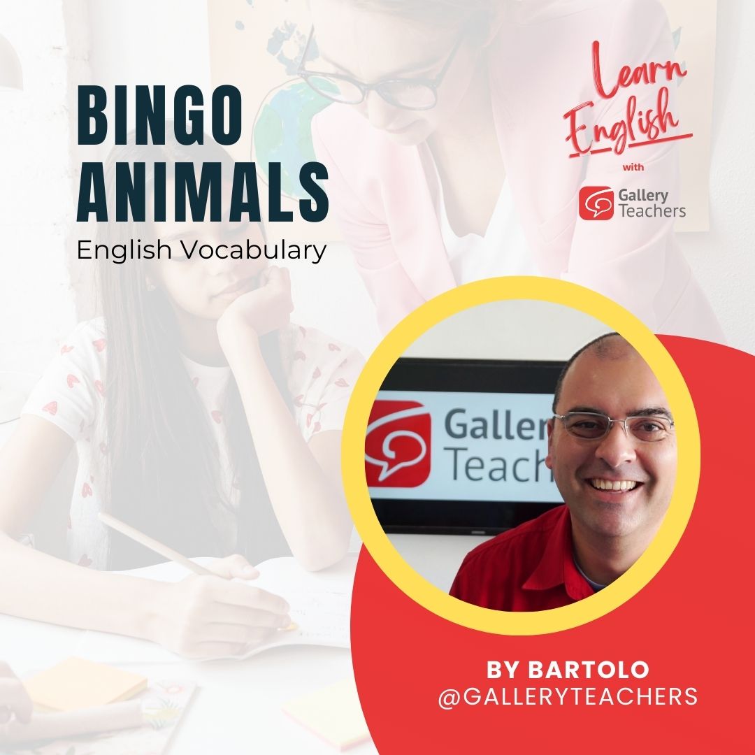 Bingo animals