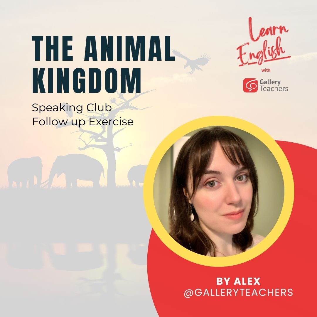 The animal kingdom Follow up activity Gallery Teachers